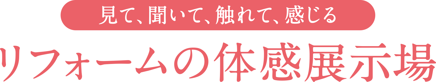 見て、聞いて、触れて、感じる